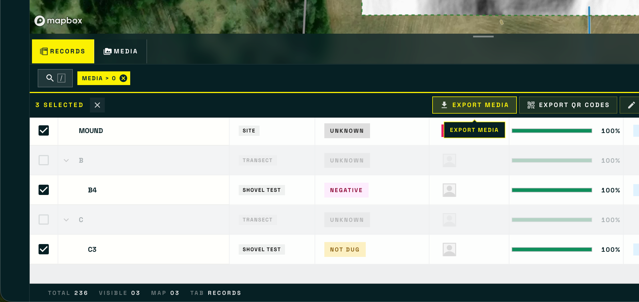 The Records list with a Media greater than zero filter applied, three Records ticked, and the Export Media button highlighted in the batch action bar